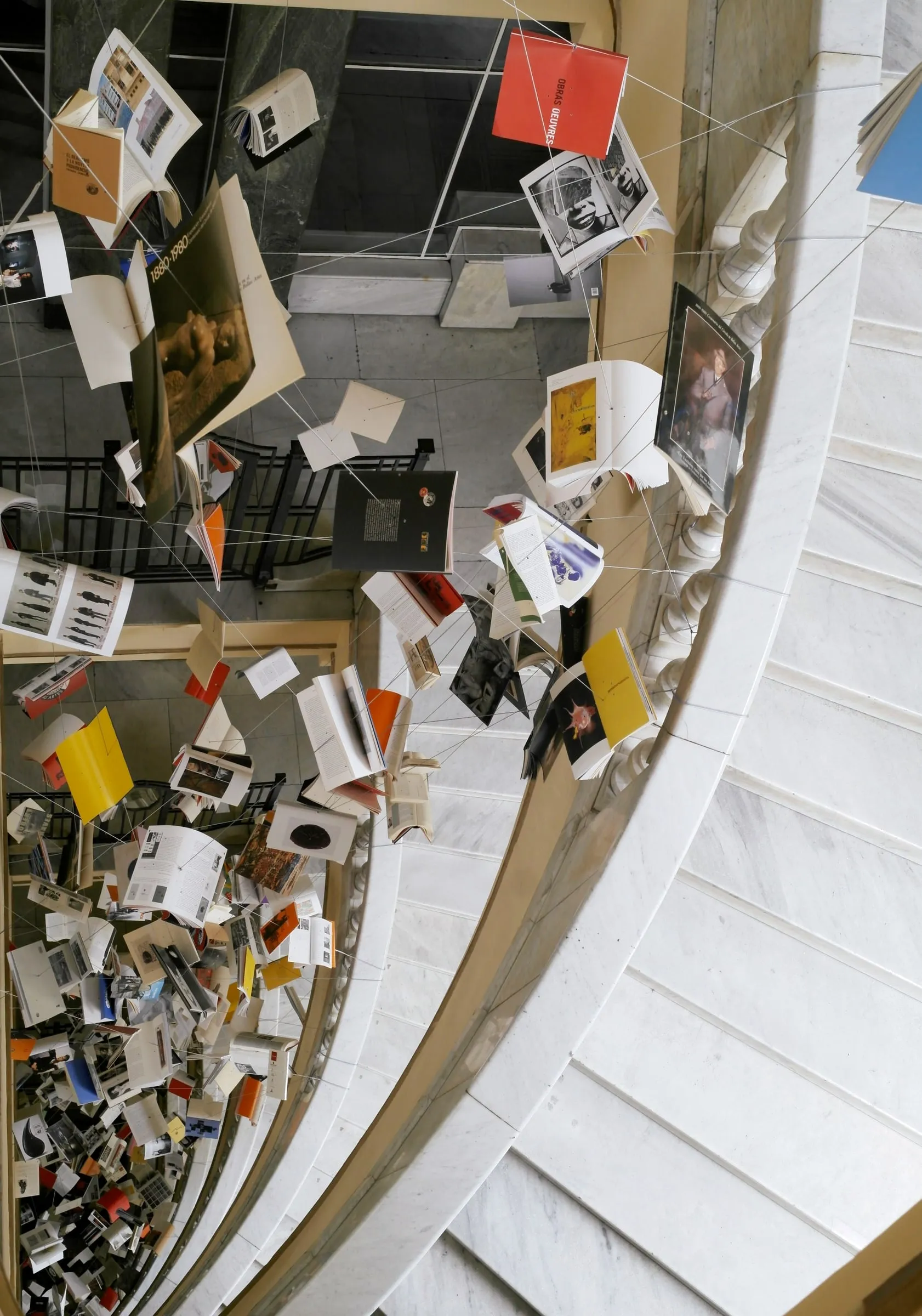 Babel Library XI, Fig. 1