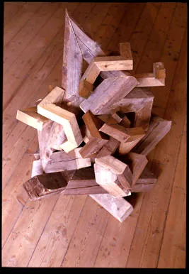 Fragments, Fig. 1